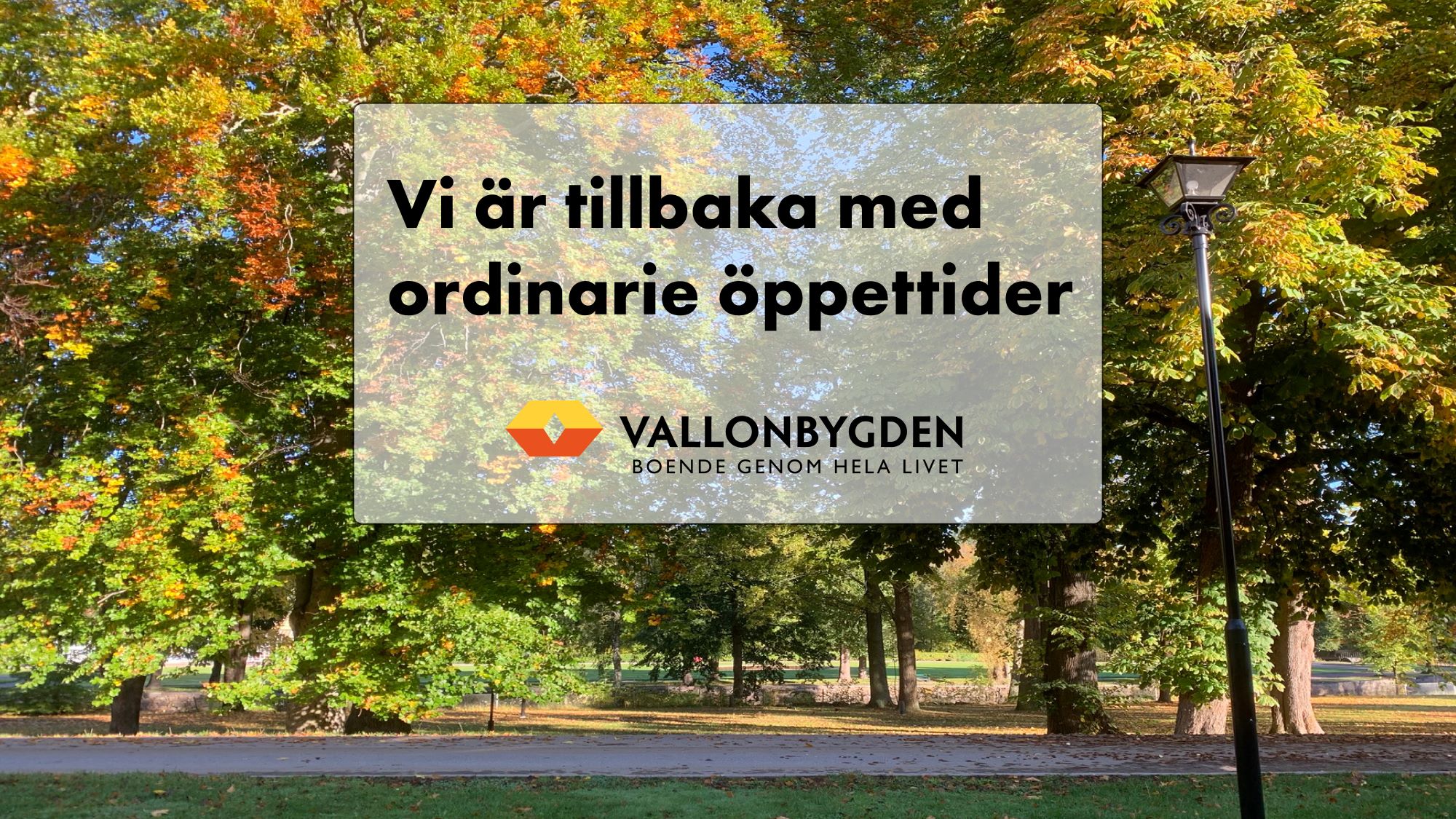 Bild på naturen med träd och grönområden.